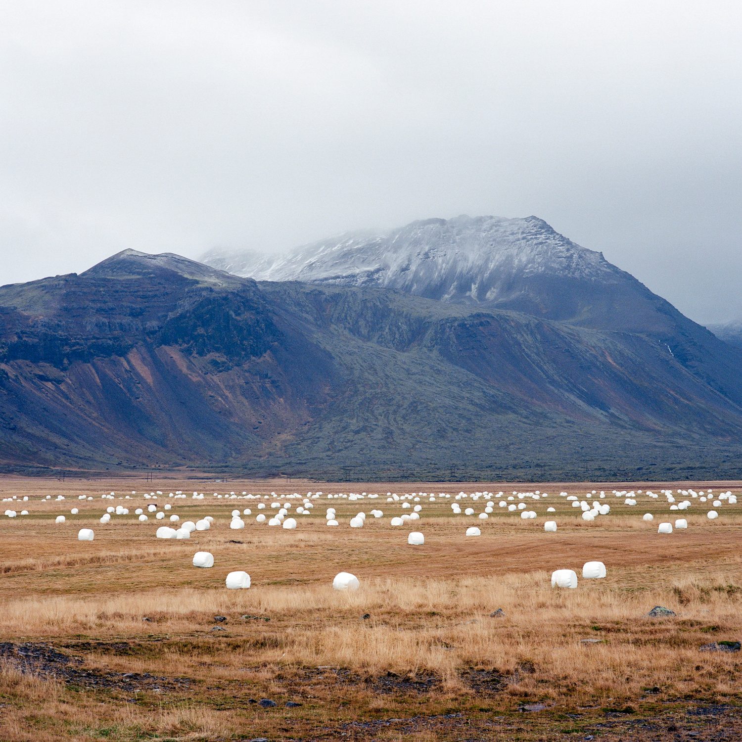 Iceland, photograph 6 by Sinziana Velicescu