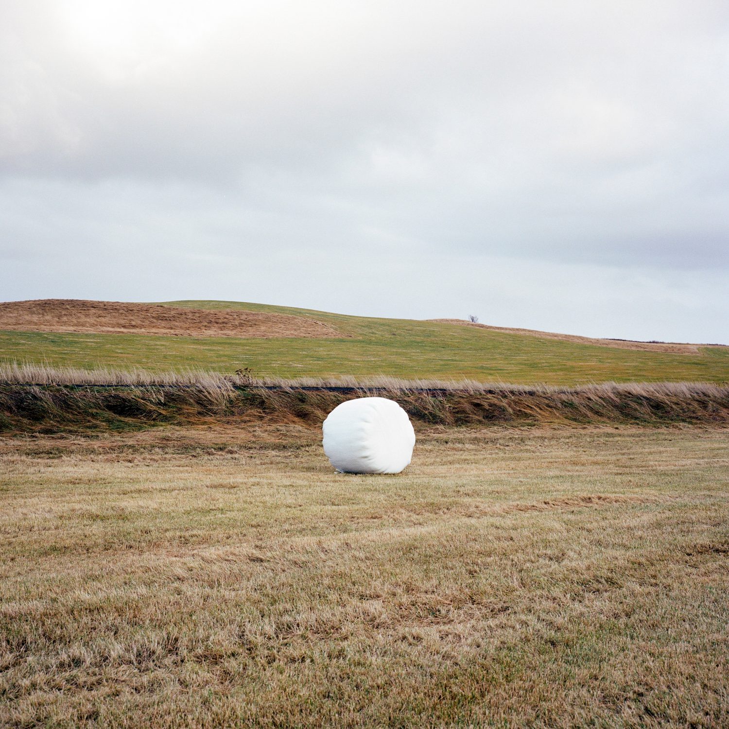 Iceland, photograph 16 by Sinziana Velicescu
