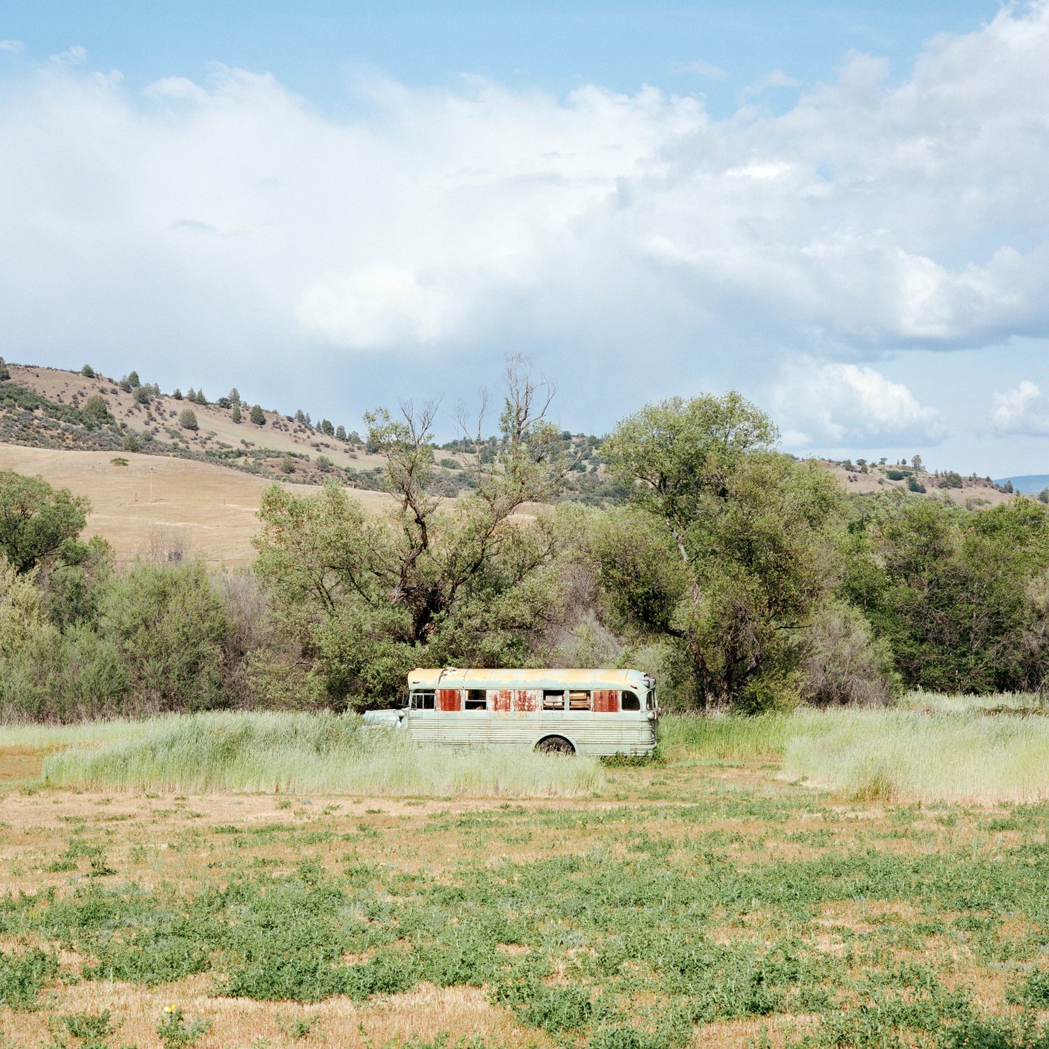 Interstate Five, photograph 4 by Sinziana Velicescu