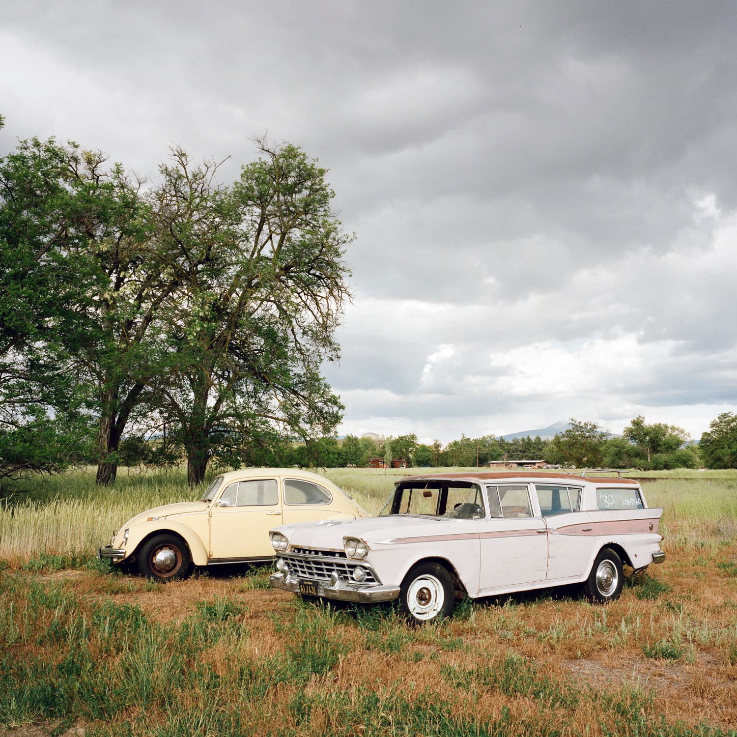 Interstate Five, photograph 6 by Sinziana Velicescu