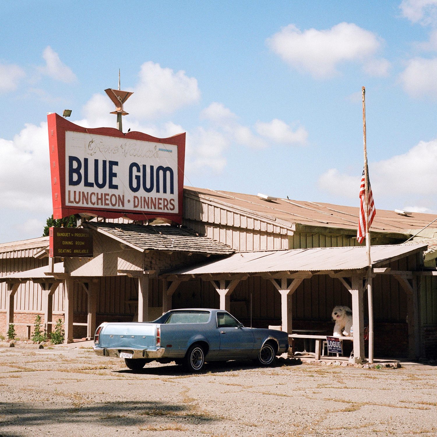 Interstate Five, photograph 12 by Sinziana Velicescu
