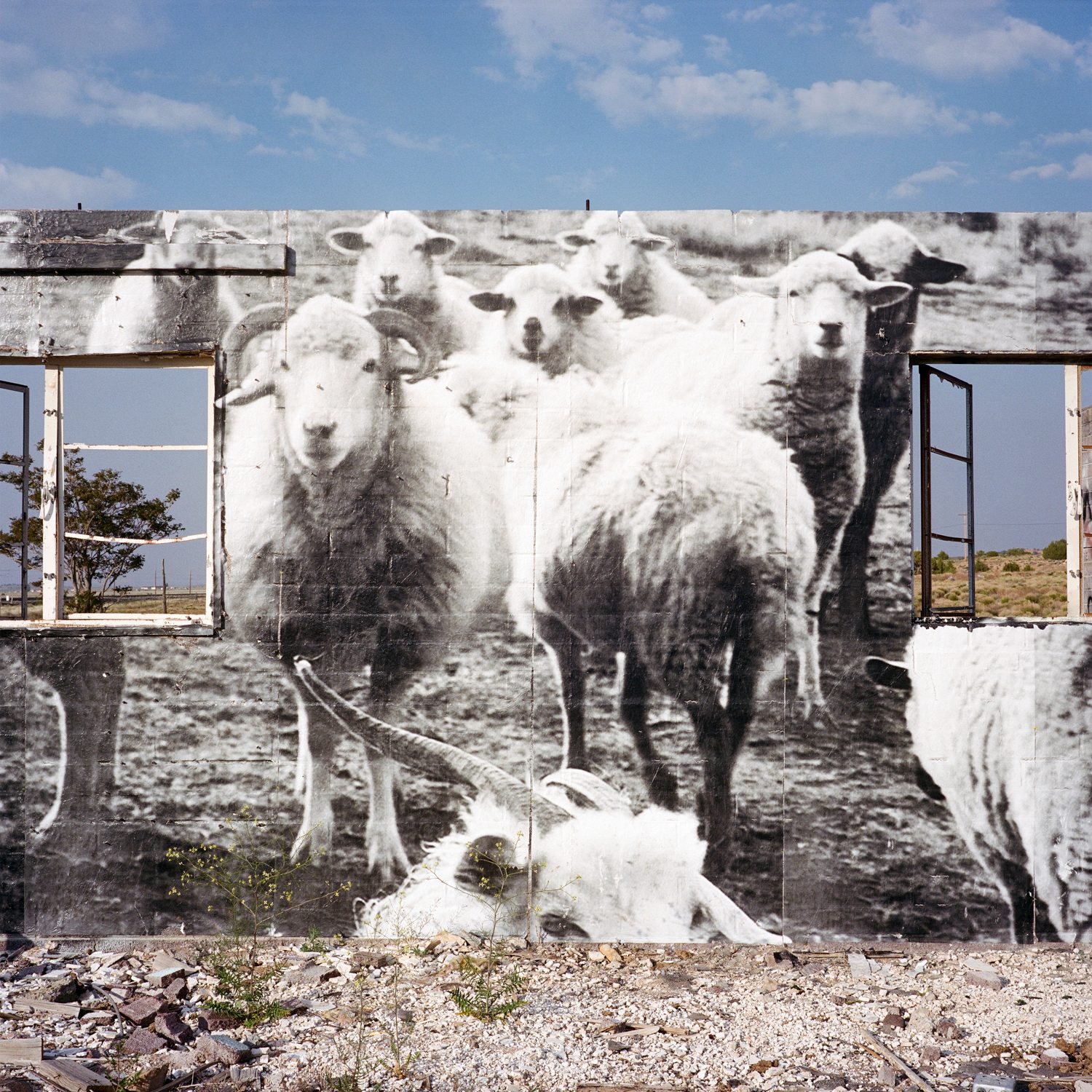 Out West, photograph 20 by Sinziana Velicescu