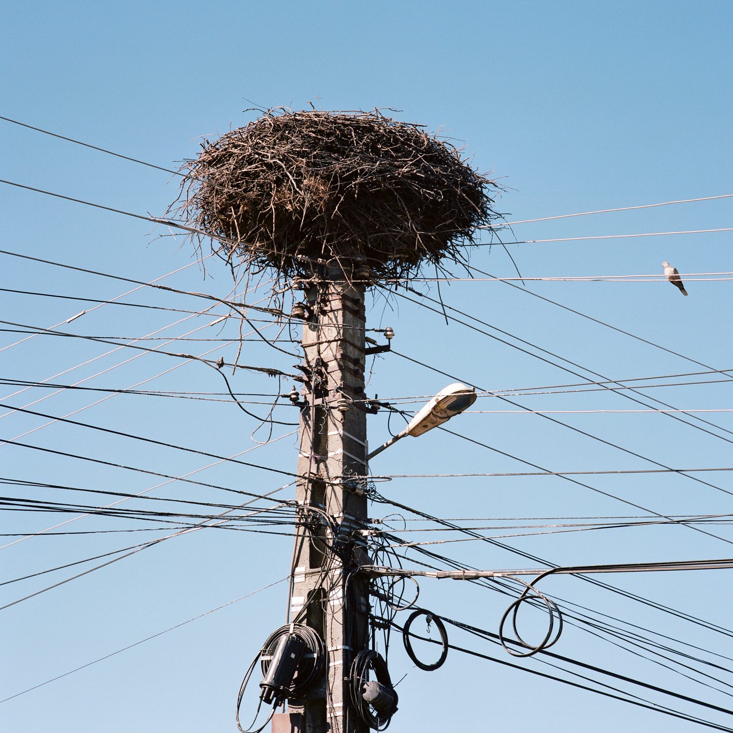 Romania, photograph 7 by Sinziana Velicescu