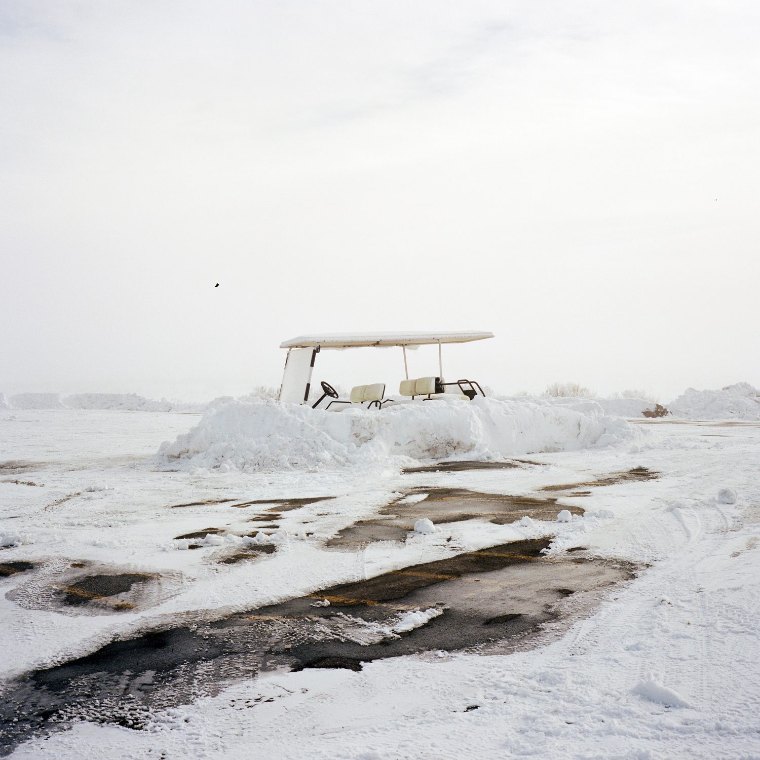 Up North, photograph 5 by Sinziana Velicescu