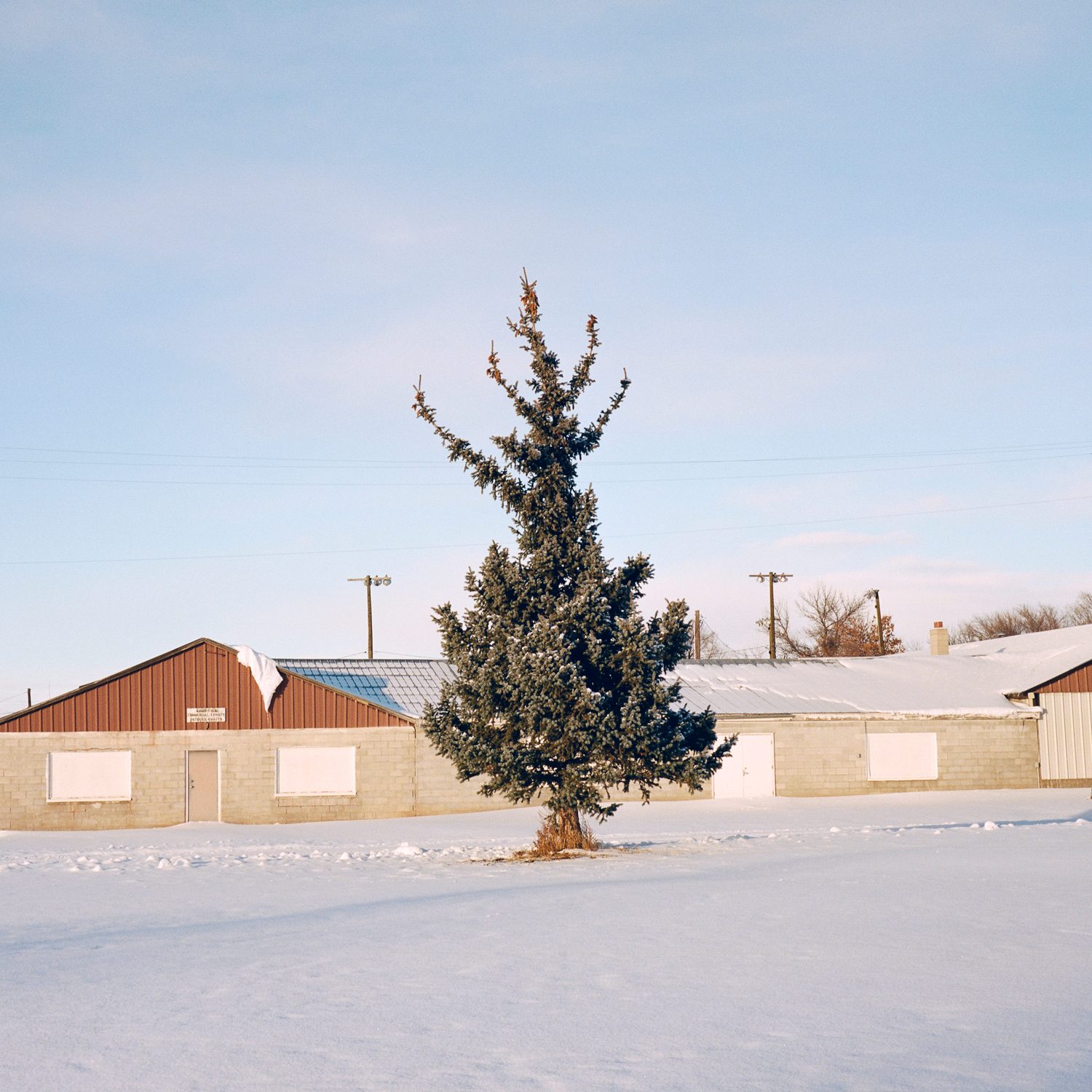 Up North, photograph 11 by Sinziana Velicescu