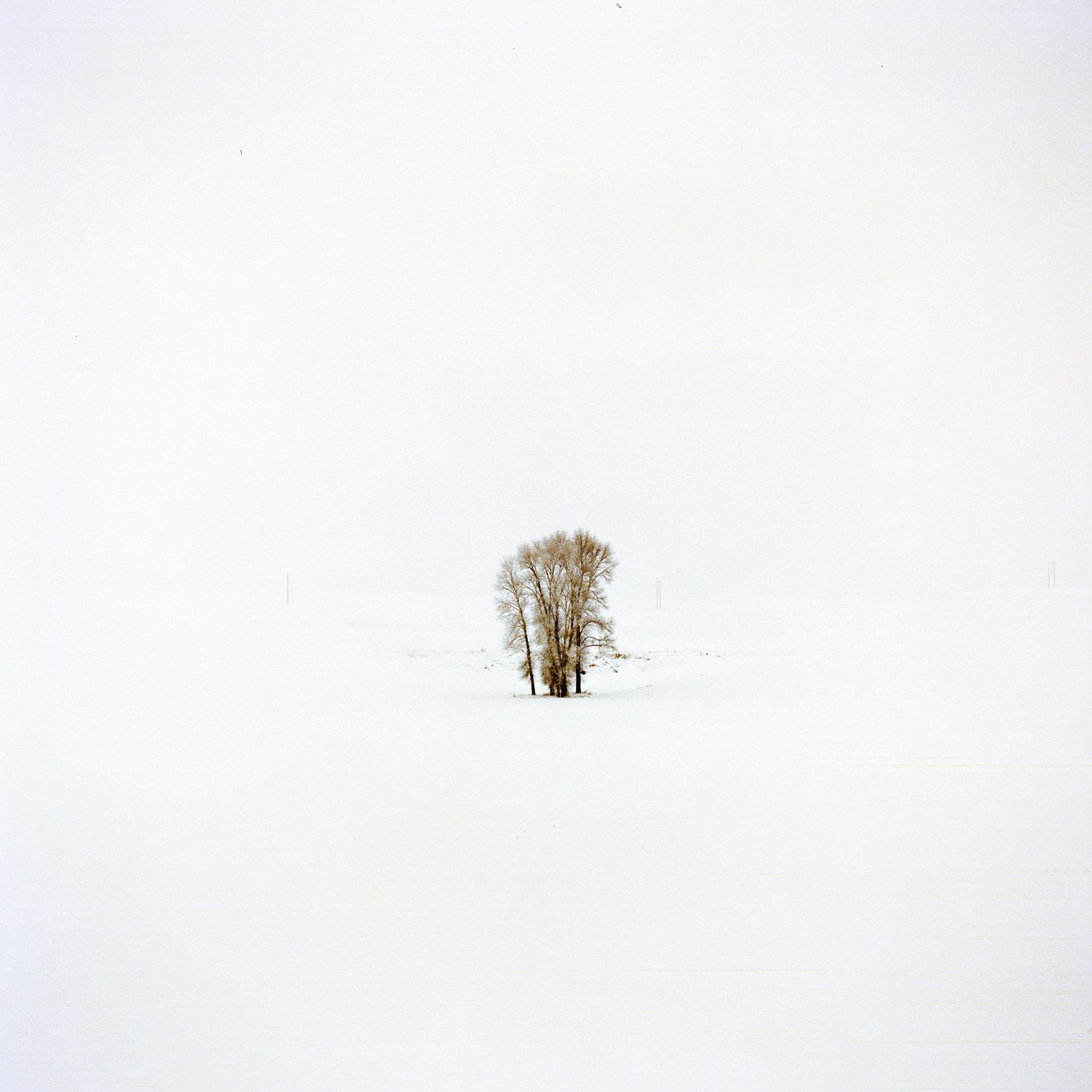 Up North, photograph 15 by Sinziana Velicescu